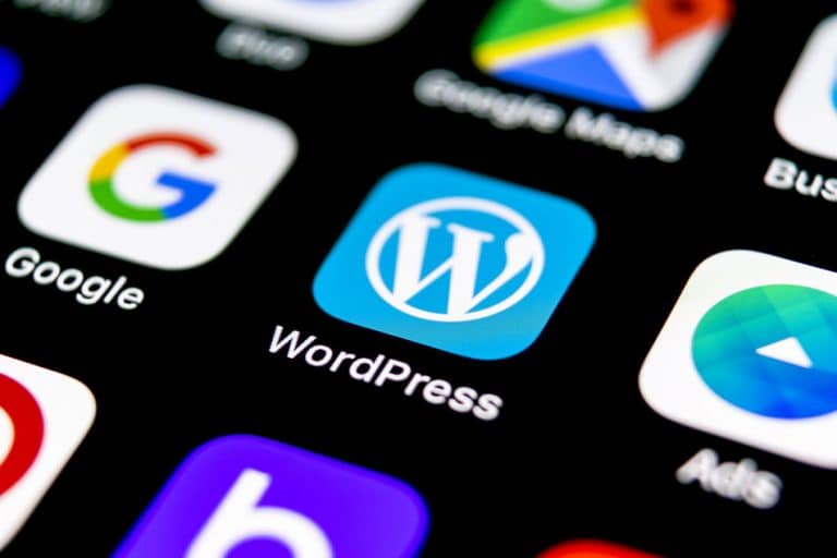 Come Ottimizzare le Immagini su Wordpress : con e senza Plugin