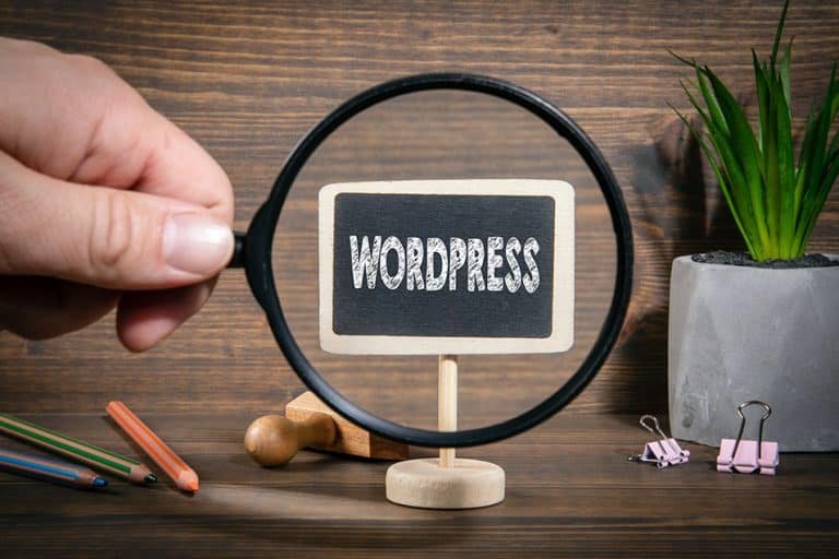 Quali Plugin installare su Wordpress I 17 Realmente Essenziali