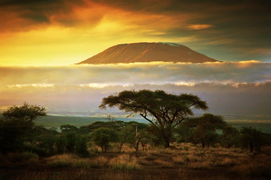 Kilimanjaro, Savana, Kenya