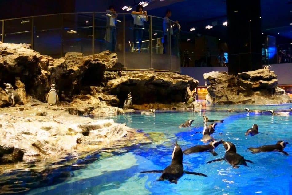 Acquario Sumida