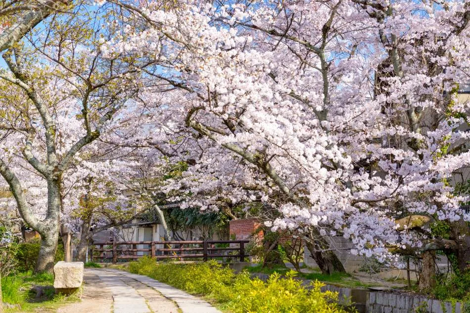 Camminata del filosofo a Kyoto