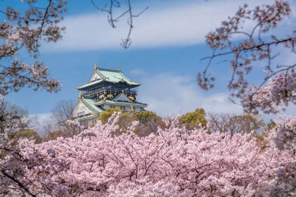 Castello di Osaka Primavera