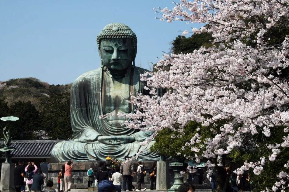 Kamakura durante la Fioritura dei Ciliegi