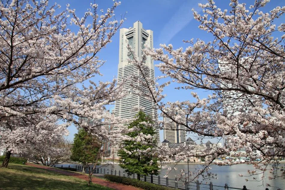 Torre di Yokohama Primavera