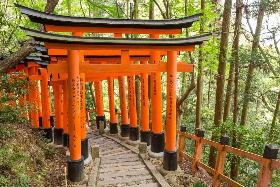 Tunnel di Torii Fushimi Inari-taisha