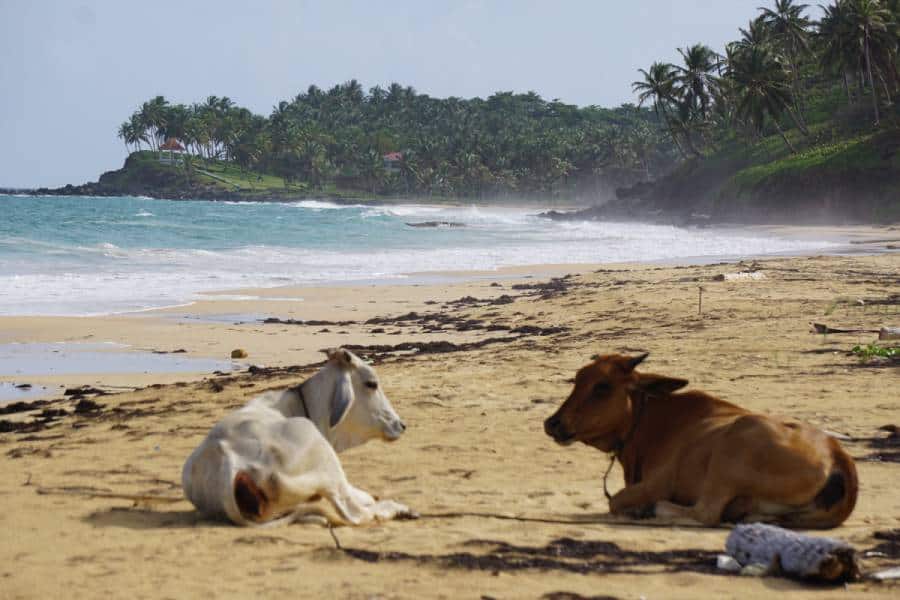 Little Corn Island in Nicaragua (America)