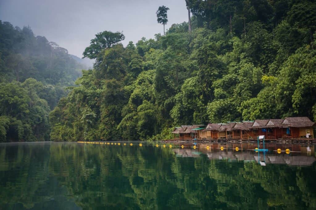 Khao Sok National Park, Khlong Sok, Thailand - dimensioni grandi